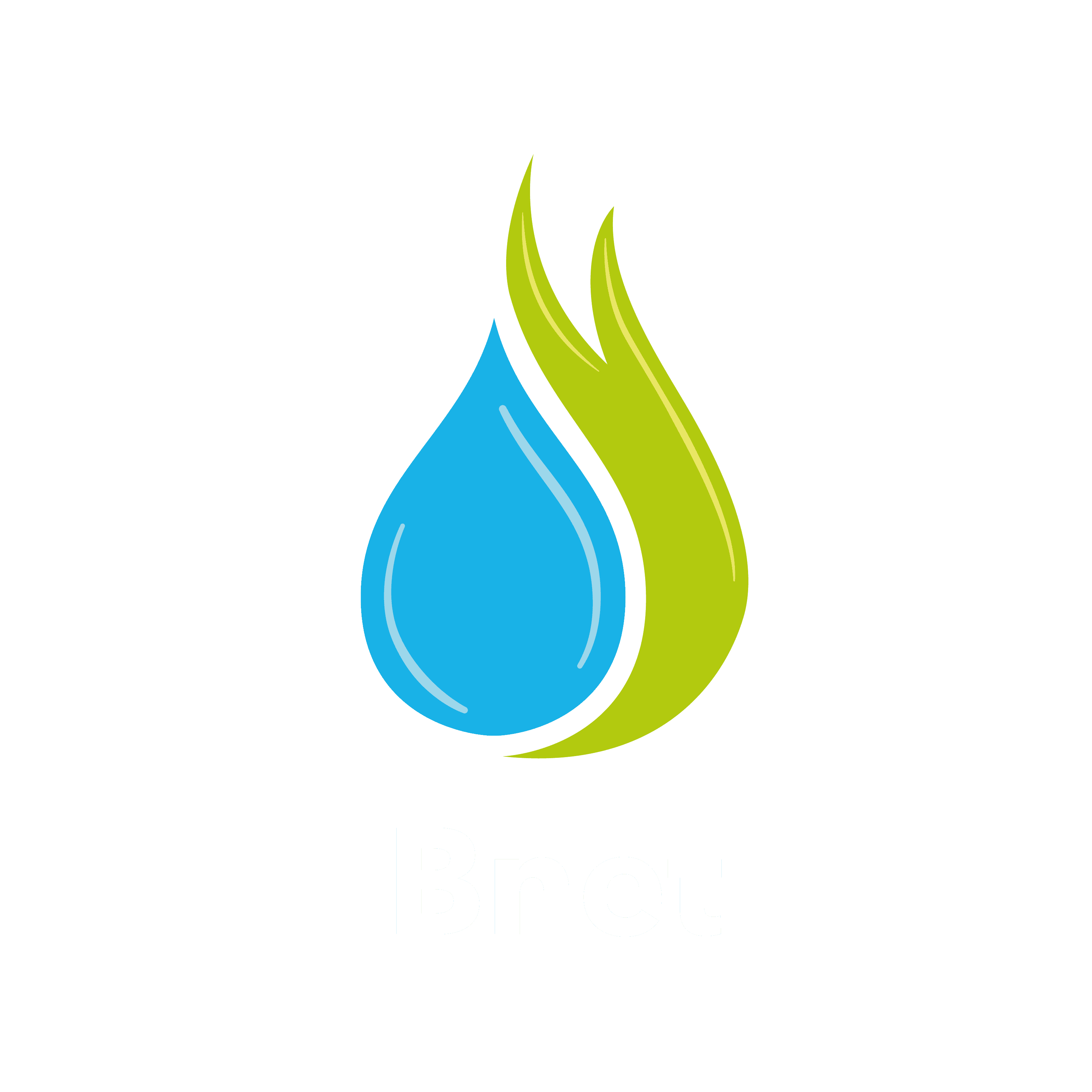 B NET
